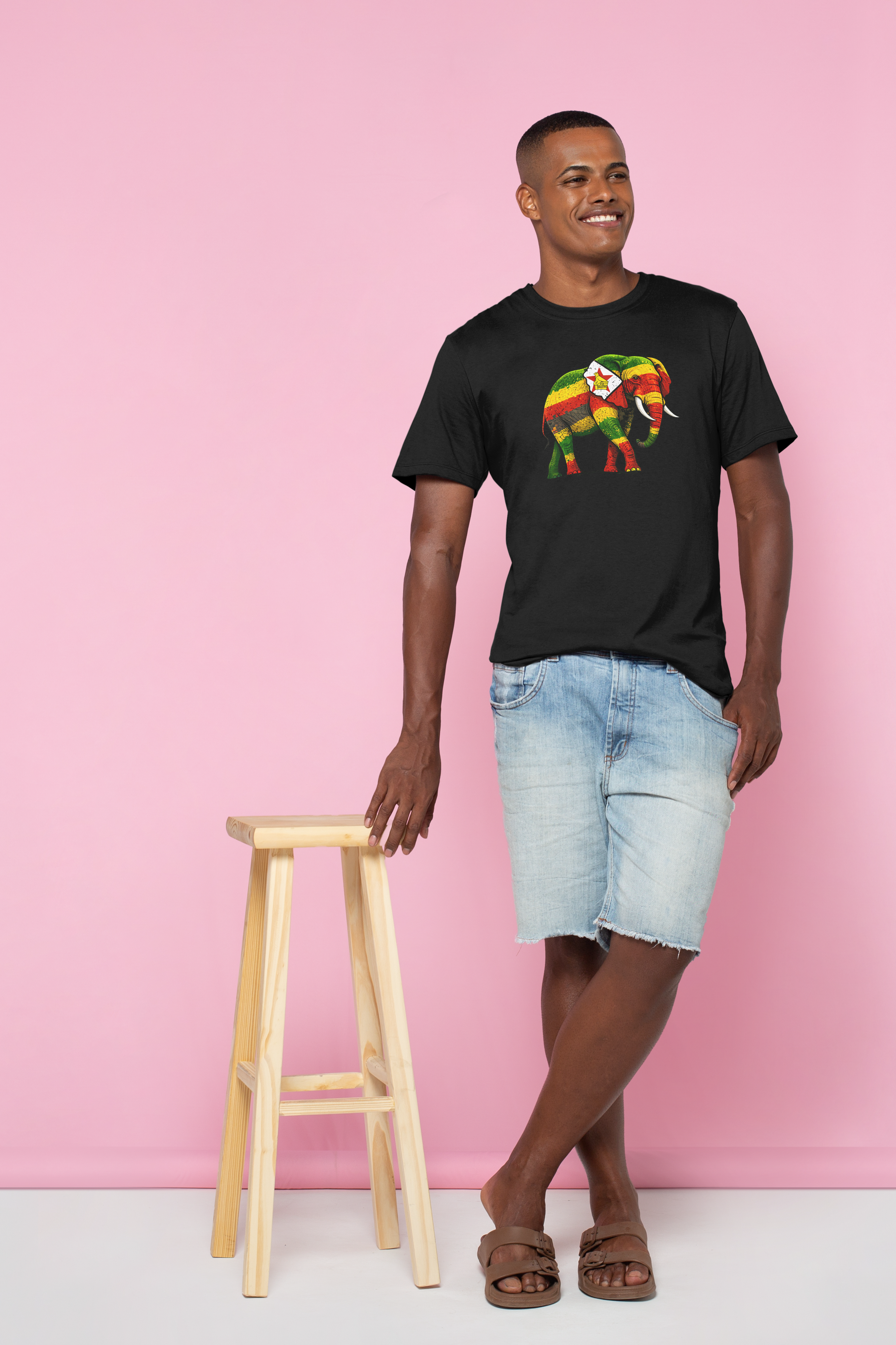 Totem, Mutupo, Isibongo T-shirt