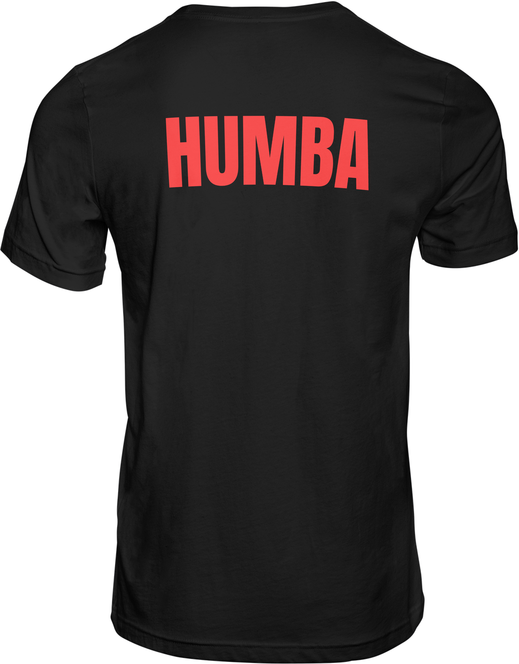 Totem, Mutupo, Isibongo T-shirt