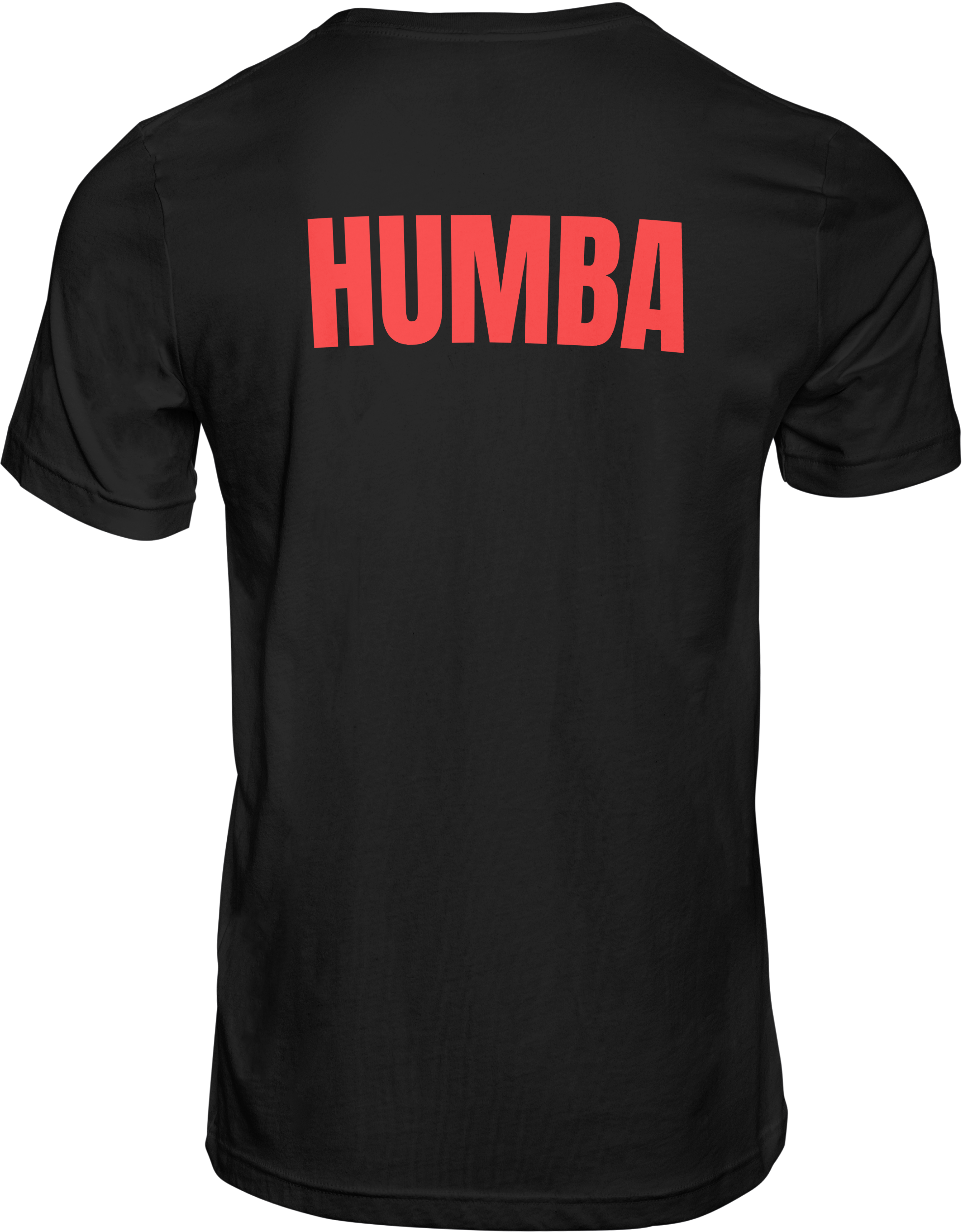 Totem, Mutupo, Isibongo T-shirt